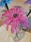 French Beaded flowers gerbera daisy blue pink purple product 4